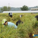 고은1리 이미지