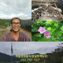 아이조아라 이미지