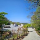 포레스트 캠핑장 | 충남 부여 느루캠핑장 포레스트존 후기