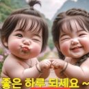 토닥토닥 Daum카페