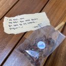 바당어부 이미지