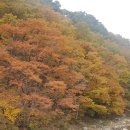 포산리 간이화장실 이미지