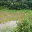 대물축산 이미지