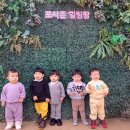 지호팜