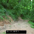 마대산장 캠핑장 Daum카페
