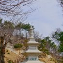 백두사
