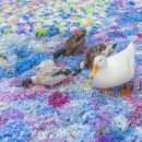 래빗홀버거컴퍼니 이미지