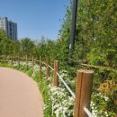 노태공원 화장실 이미지