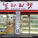 날라리 캣 이미지