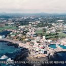 다모앙제주