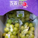 다온청과 - 부천시 오정구 오정로 249 | 다온청과