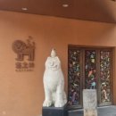 cafe(카페)도토리