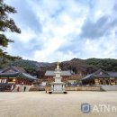 주)낙안온천 | [종교 관광의 중심 충남] 불교와 지역 명소가 만나다