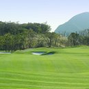 테디벨리골프장 4 이미지