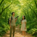 무릉외갓집 | 무릉외갓집에서 만나는 ‘사운드워킹’