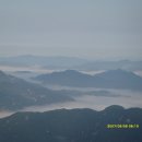 거명식품 | 17차 늘재-버리미기재