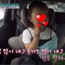 금쪽이 이미지