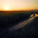 자연풍경 이미지