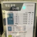 분당메디케어 | 분당제일여성병원 역아 제왕절개 후기 1일차