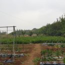 한길타조농장 이미지