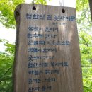 124차 금수산 산행 이미지