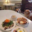 서광식당 이미지