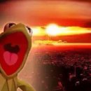 제스트(ZEST) 이미지