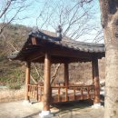 천락 이미지
