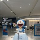 미짱돈짱