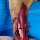 튼튼동물의료센터 이미지