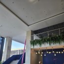 호텔발리3 | 발리 스미냑 숙소 추천 보코호텔 가성비 신상 3박 후기