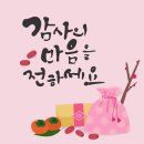 카모터스 이미지