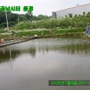 월곡낚시터 이미지