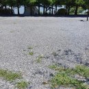 청풍호반 오토캠핑장 이미지