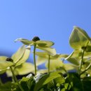 시립남양도서관 이미지