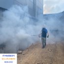 대성종합관리 이미지