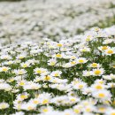 산청전통한방휴양관광지 | 산청 동의보감촌 산청한방테마파크 경치좋은곳