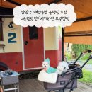 빈티지나 | 남양주 애견동반 글램핑 추천 더드림핑 빈티지카라반 무박캠핑 후기