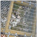 거창수승대무지개 이미지