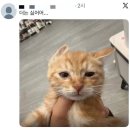 예진아씨 | [Love in TOKYO] 나 너무 다리가 아파.. Re: 다리 아프지 말자~!!