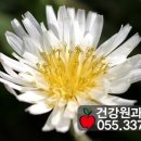 과일나라건강원