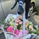 마린팜 | 해운대 마린시티 꽃집 생일 꽃 깜빡 했는데...오늘 준비 되나요? 이숲팜 이라면 가능 합니다.