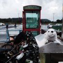 제주아리마찜질방 | 제주도 자전거 종주_제주도 환상자전거길 3일차 후기+꿀팁!