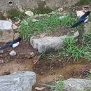 지양산 해맞이마을 이미지