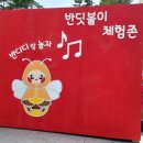 반디야 놀자 이미지