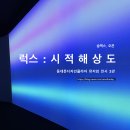 상용회관 | 서울 미디어아트 전시 : 럭스 시적해상도 feat. DDP 러쉬 팝업스토어