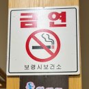 돌꽃 티스토리