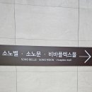 비바플렉스 이미지
