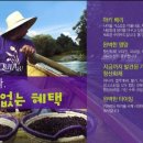 퀴아리