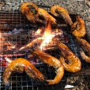 녹색오토캠핑장 이미지